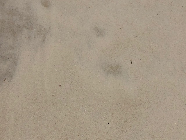 White Mason Sand